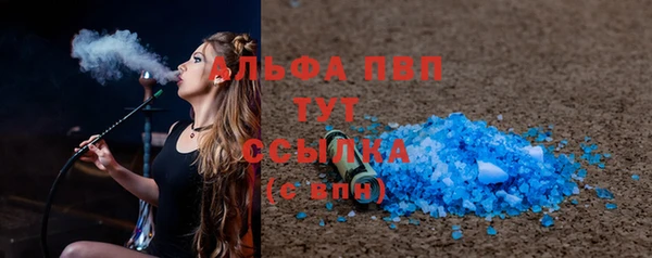 прущие грибы Горняк