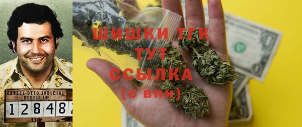 прущие грибы Горняк