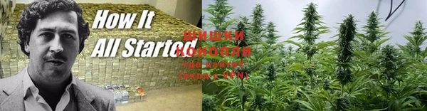 стаф Горно-Алтайск
